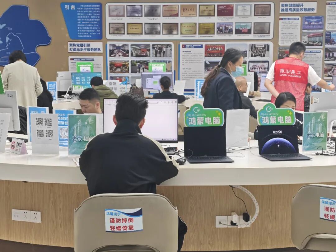 1766631007452.jpg 罗湖4.jpg